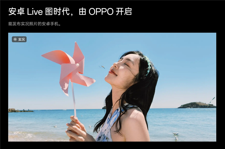 13-00374b44b24de1c6cf2a57ee5a4ee490.png